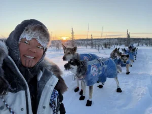 Iditarod 2026 review